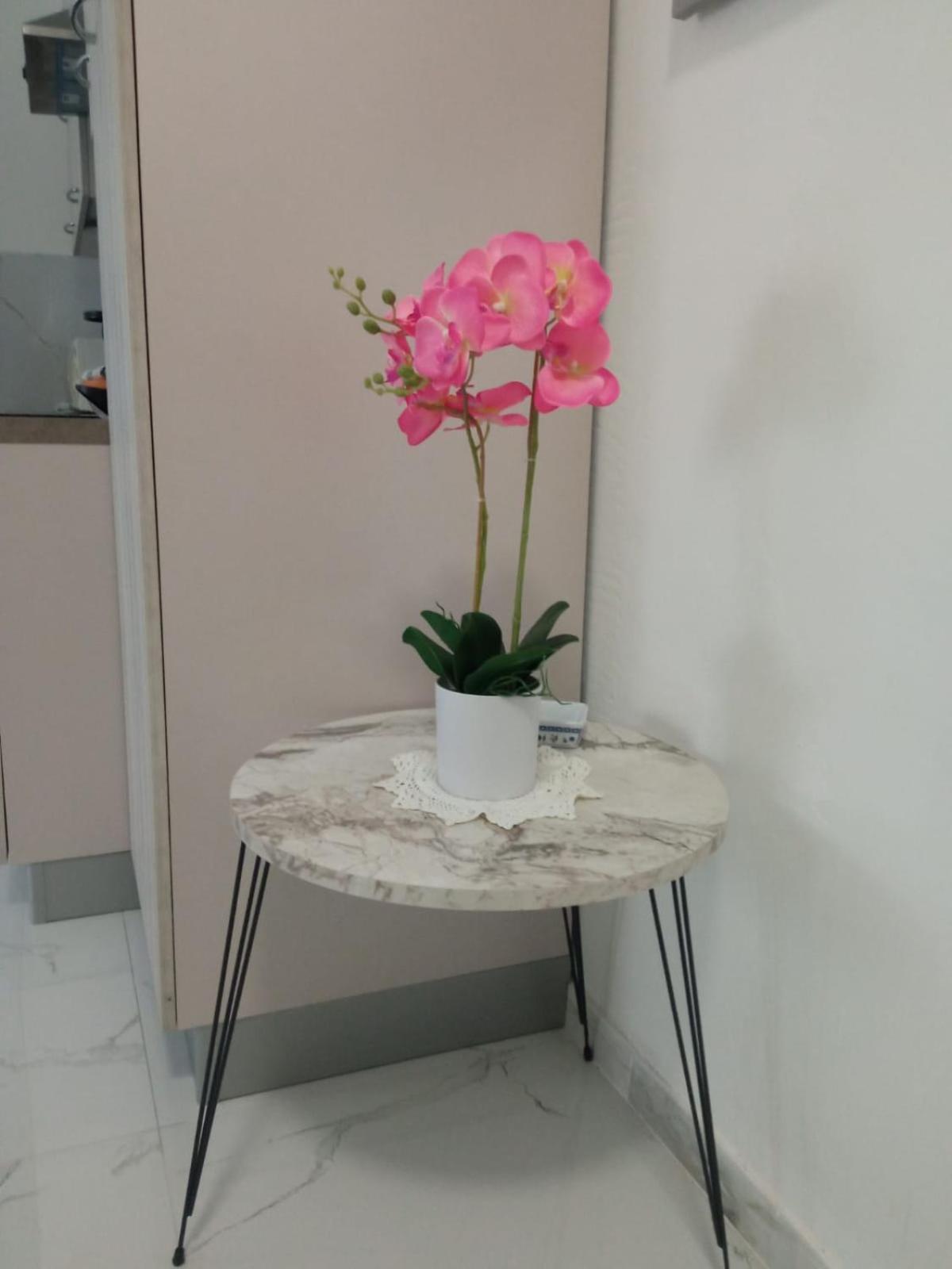 Wh - Dolce Vita - Bilocale - 5 Minuti Dal Centro - Parcheggio Gratuito - Wifi Sanremo Dış mekan fotoğraf